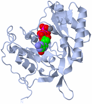 Image Biological Unit 1