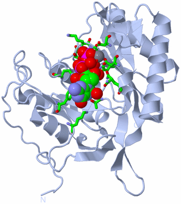 Image Biol. Unit 1 - sites