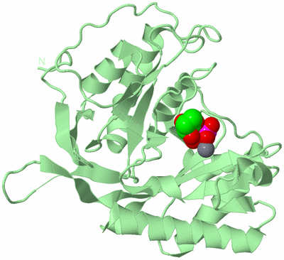 Image Biological Unit 2