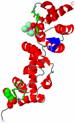 Image Asym. Unit - sites