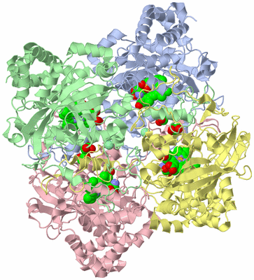 Image Biological Unit 1