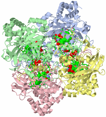 Image Biol. Unit 1 - sites