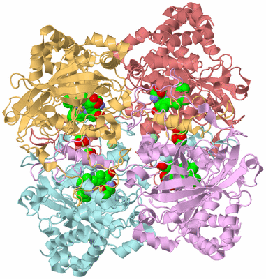 Image Biological Unit 2