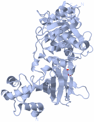 Image Biological Unit 1