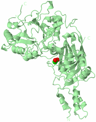 Image Biological Unit 2