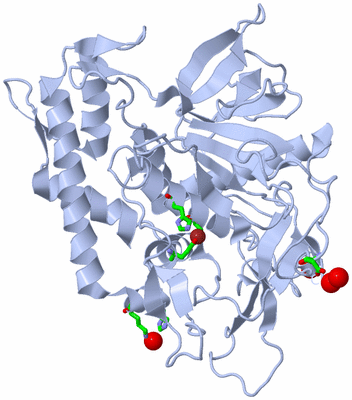 Image Biol. Unit 1 - sites