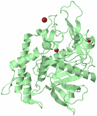 Image Biological Unit 2