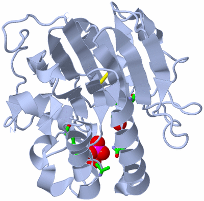 Image Biol. Unit 1 - sites