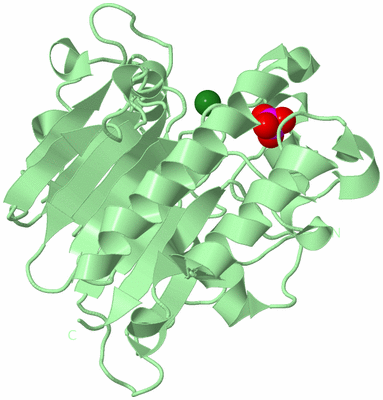 Image Biological Unit 2