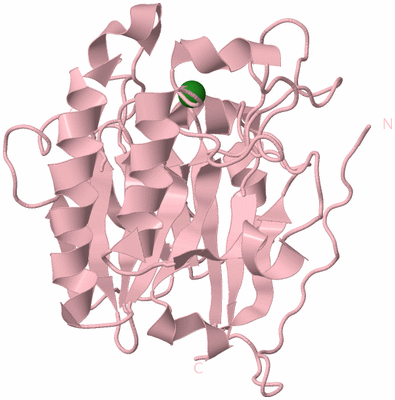 Image Biological Unit 3