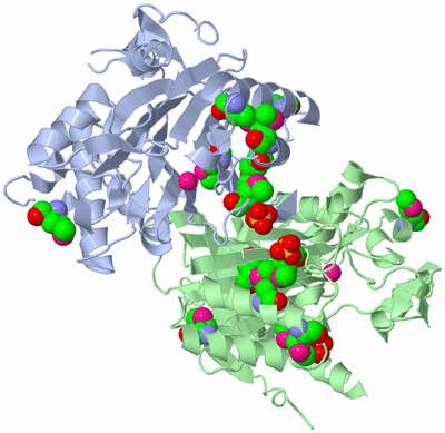 Image Asym./Biol. Unit