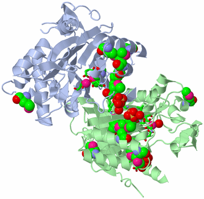 Image Asym./Biol. Unit - sites