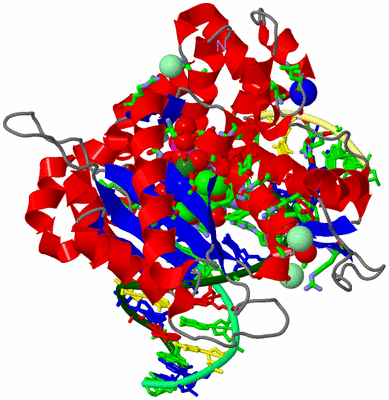 Image Asym./Biol. Unit - sites