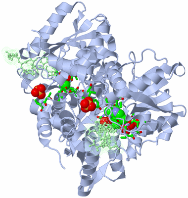 Image Biol. Unit 1 - sites