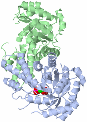 Image Asym./Biol. Unit