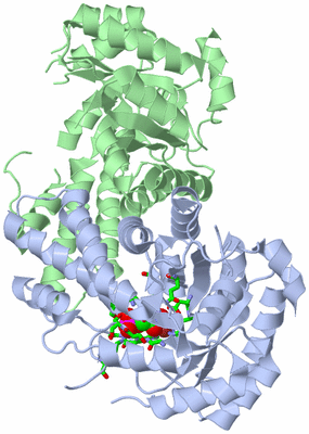 Image Asym./Biol. Unit - sites