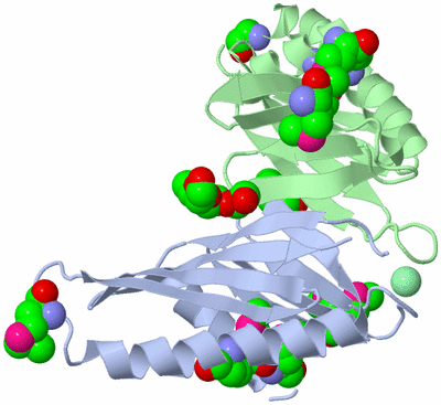 Image Biological Unit 1