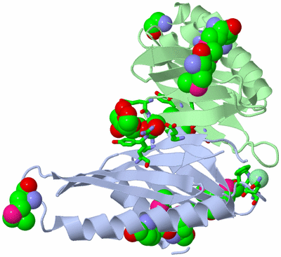 Image Biol. Unit 1 - sites