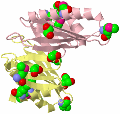 Image Biological Unit 2