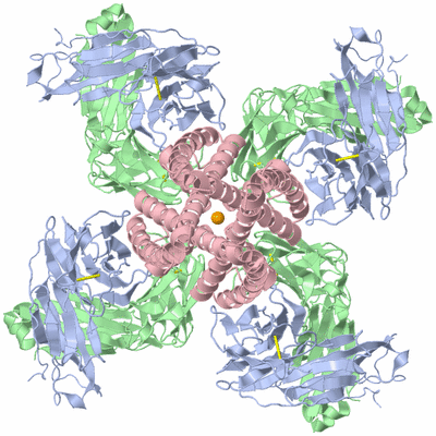 Image Biological Unit 1