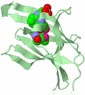 Image Biological Unit 2