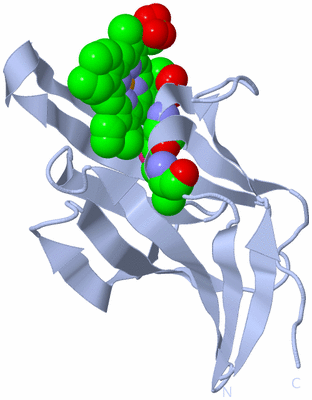 Image Biological Unit 1