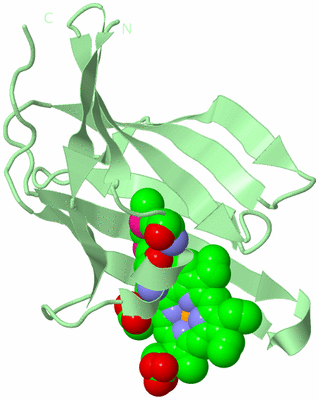 Image Biological Unit 2