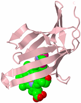 Image Biological Unit 3