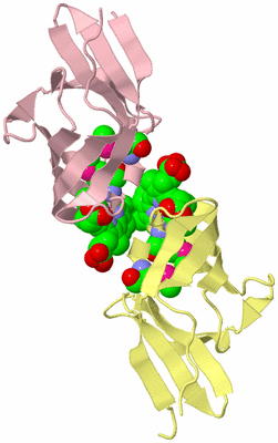 Image Biological Unit 5