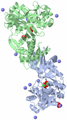Image Asym./Biol. Unit