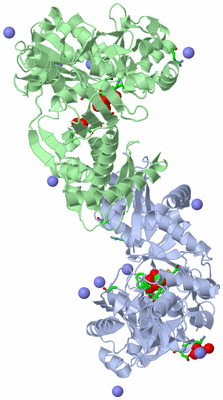 Image Asym./Biol. Unit - sites