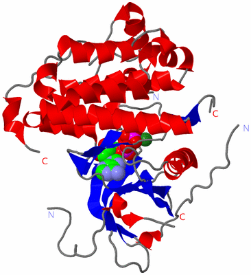 Image Asym./Biol. Unit