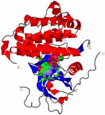 Image Asym./Biol. Unit - sites