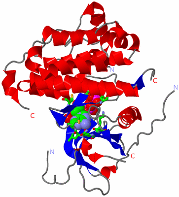 Image Asym./Biol. Unit - sites