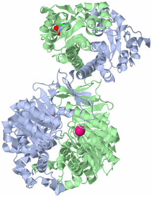 Image Asym./Biol. Unit