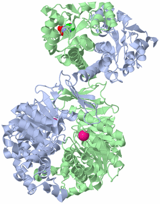 Image Asym./Biol. Unit