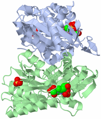 Image Asym./Biol. Unit