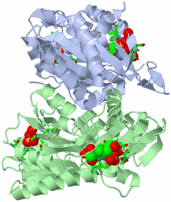 Image Asym./Biol. Unit - sites