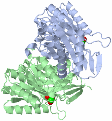 Image Asym./Biol. Unit