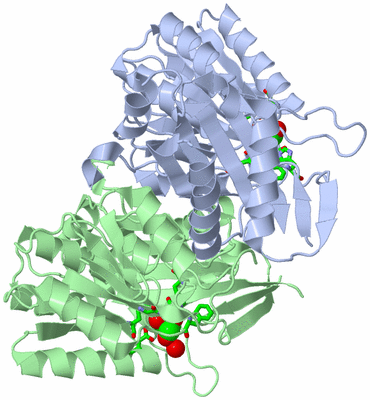 Image Asym./Biol. Unit - sites