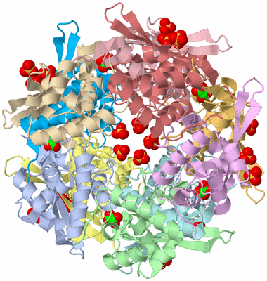 Image Asym./Biol. Unit