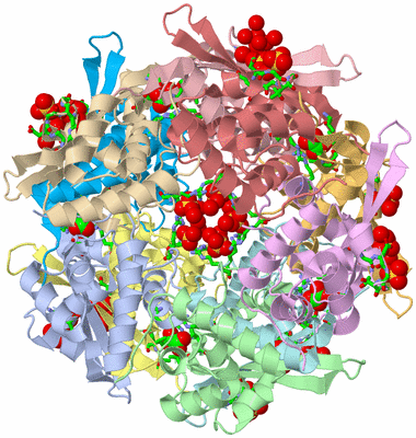 Image Asym./Biol. Unit - sites