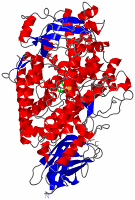 Image Asym./Biol. Unit - sites
