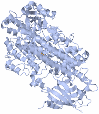 Image Biological Unit 1