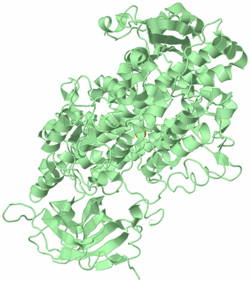 Image Biological Unit 2