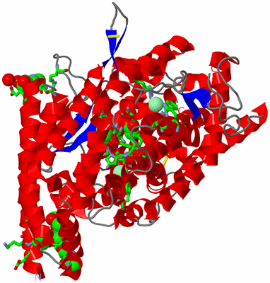 Image Asym./Biol. Unit - sites