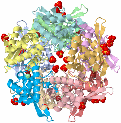 Image Asym./Biol. Unit