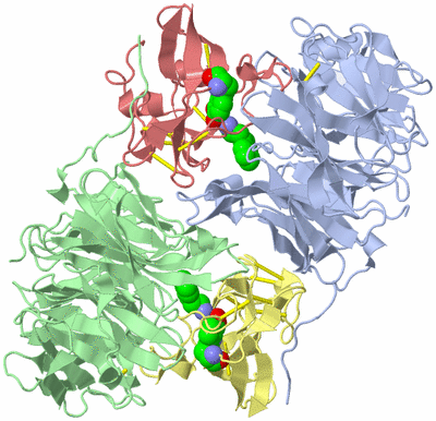 Image Asym./Biol. Unit