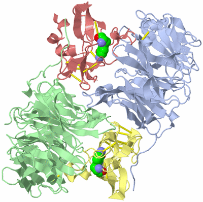 Image Asym./Biol. Unit