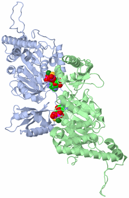 Image Asym./Biol. Unit